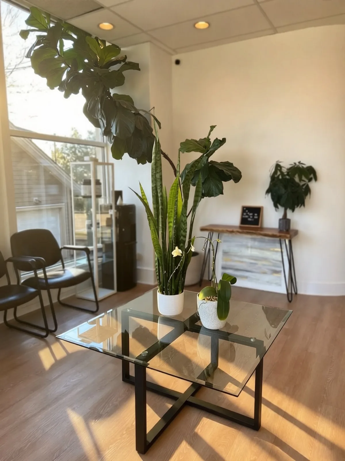 Clinical Counselling at Life Integrative Vancouver